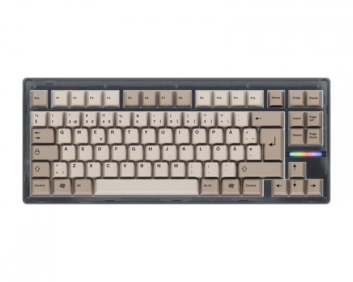 Wooting 80HE Ghost ISO + Retro Keycaps